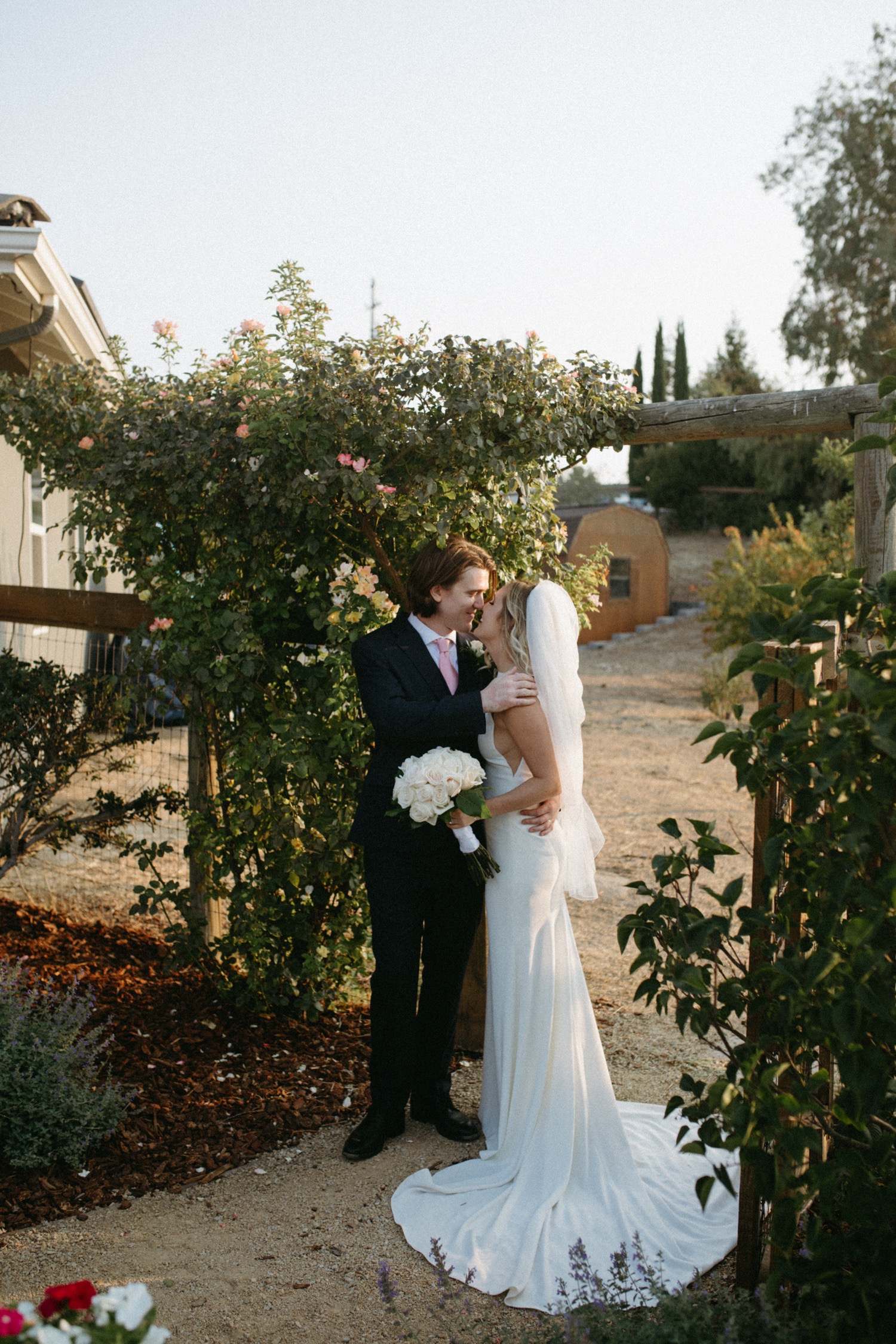 Bride and groom kiss on their wedding day in Paso Robles, CA.